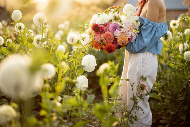 mujer, con, dalias, en, flor, granja