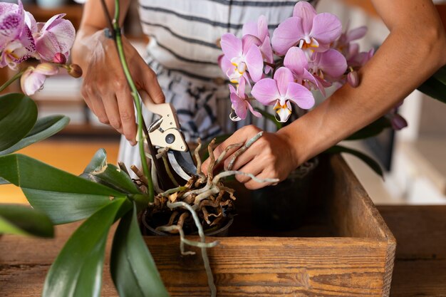 Mujer decorando su casa con orquídeas