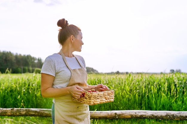Mujer en un delantal con cesta de fresas frescas, fondo de paisaje natural. Alimentos orgánicos saludables, agricultura y pequeñas empresas, jardinería y pasatiempos.