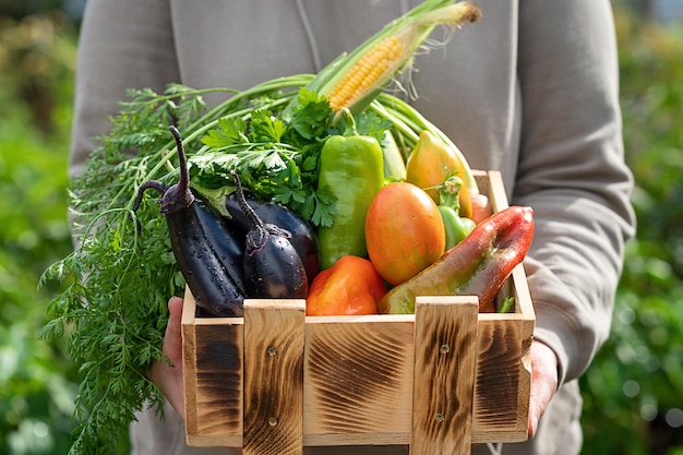 Mujer demostrando cajón de madera con diversas verduras