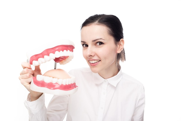 mujer dentista alegre en una camisa blanca sostiene una mandíbula grande con dientes en sus manos fondo blanco