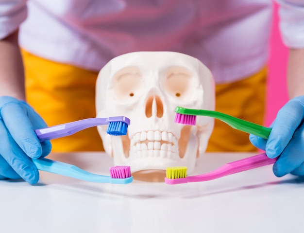 Foto mujer dentista cepillarse los dientes de un cráneo artificial con cuatro cepillos de dientes