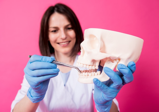 Mujer dentista examina la cavidad bucal del cráneo artificial con instrumentos dentales estériles