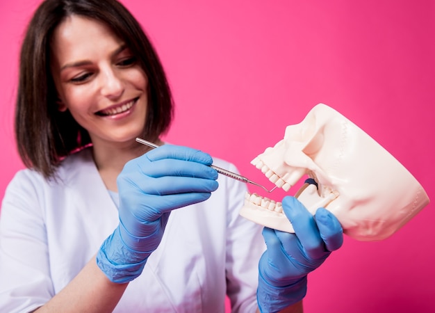 Mujer dentista examina la cavidad bucal del cráneo artificial con instrumentos dentales estériles