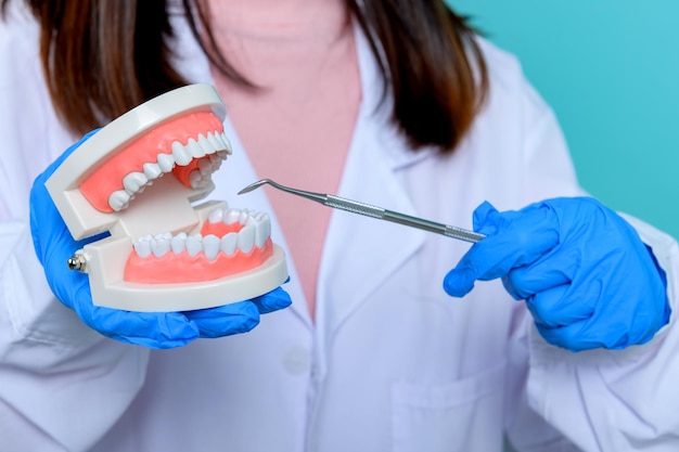 Mujer dentista sosteniendo modelo de diente y equipo sobre fondo de pantalla azul. Cuidado dental y dientes sanos.