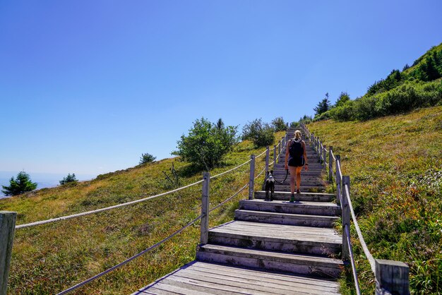 Una mujer deportiva con su correa de perro realiza una caminata de trekking en un camino de escaleras de madera para acceder a pie a la montaña del volcán Puy de Dome en el centro de Francia