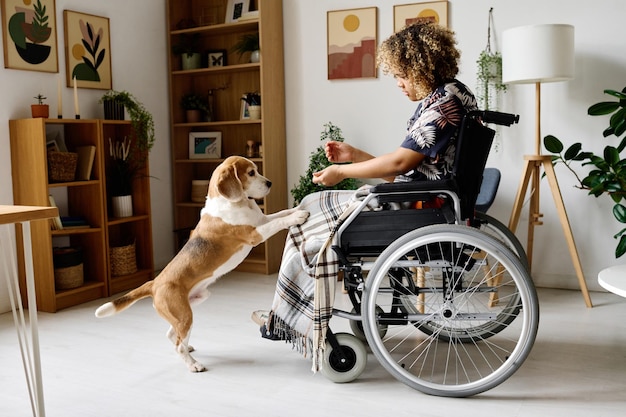 Mujer con discapacidad jugando con perro