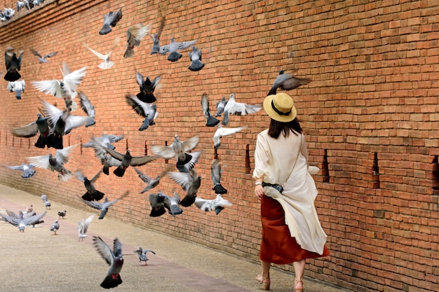 La mujer disfruta caminando y en la puerta de Phae, la antigua muralla de la ciudad vieja de Chiang Mai y el foso en el norte de Tailandia Chiang Mai