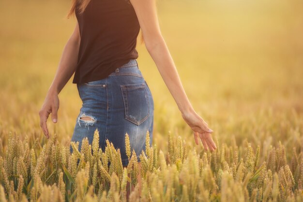 Mujer disfruta puesta de sol en el campo de trigo