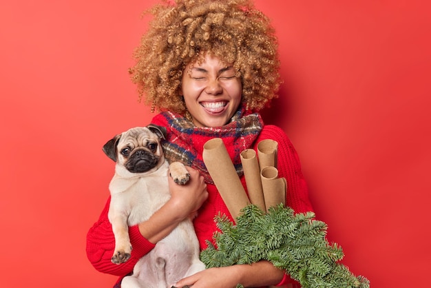 Una mujer divertida y positiva saca la lengua y cierra los ojos lleva un perro pug que prepara la decoración para la fiesta de Año Nuevo sostiene papel enrollado y una corona de abeto usa una bufanda de suéter alrededor del cuello aislada sobre una pared roja