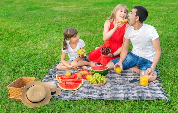 Mujer embarazada en un picnic