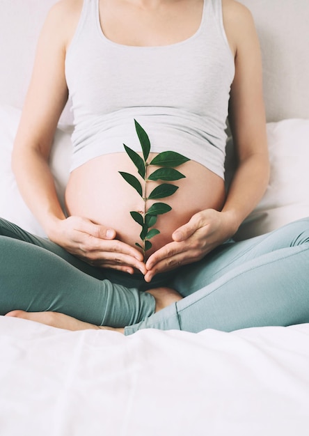 Mujer embarazada sostiene una planta de brote verde cerca de su vientre como símbolo de nueva vida bienestar fertilidad salud del bebé por nacer concepto embarazo maternidad eco estilo de vida sostenible ginecología