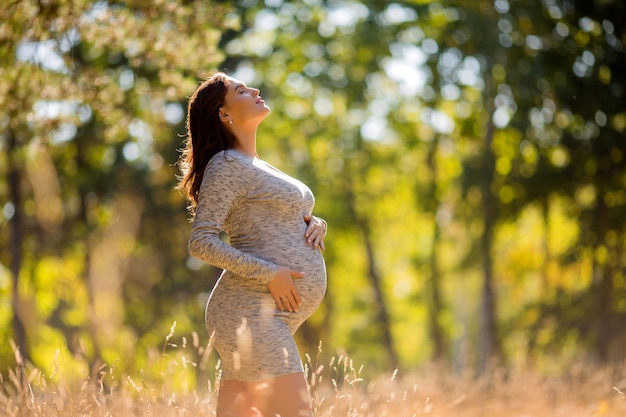 mujer embarazada con vestido posando en la naturaleza