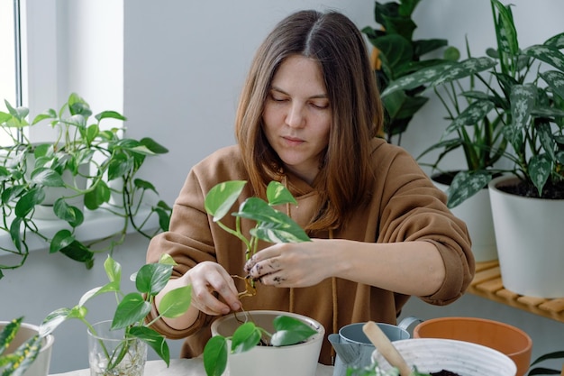 Una mujer encapsulando una planta de interior joven epipremnum scindapsus en una maceta tomándola de un vaso