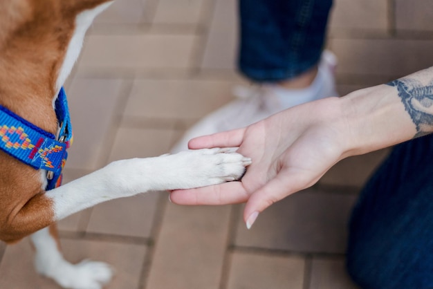 Una mujer le está dando una pata a un perro.