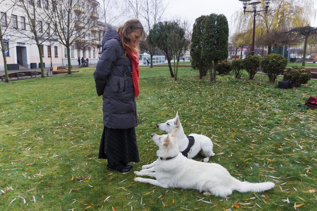 Una mujer está entrenando a sus dos lindos perros White Swiss Shepherds al aire libre en el parque de la ciudad.