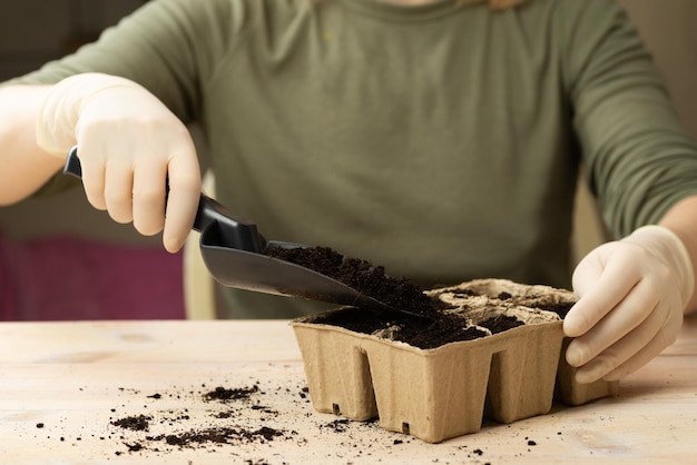 Una mujer está plantando semillas de hortalizas en macetas de turba Cultivando plántulas de plantas en macetas Pasatiempo casero