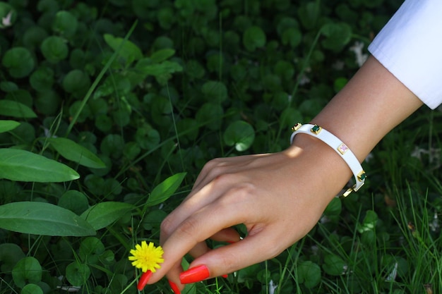 Una mujer está recogiendo una flor de un campo de hierba.