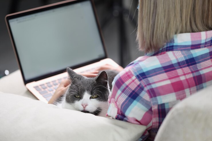 Foto la mujer está trabajando en la computadora portátil con el gato en el sofá