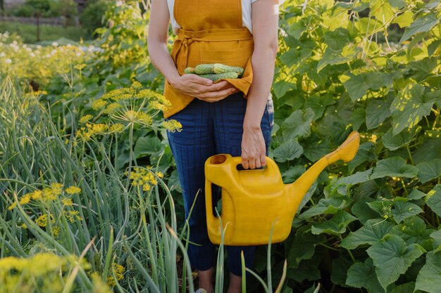 Una mujer europea con una regadera amarilla está regando frutas y verduras en su jardín un