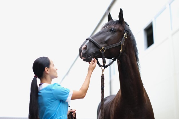 Mujer examen médico veterinario de caballo negro