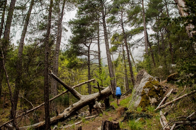 Mujer excursionista con mochila atraviesa el bosque