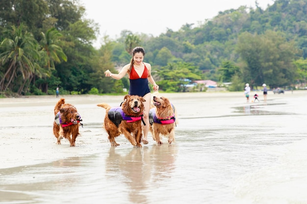 Mujer y familia de perros Golden Retriever corriendo en la playa tropical de vacaciones Mascotas amigables