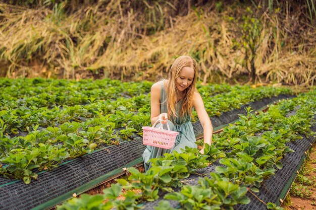 Mujer feliz recogiendo fresas frescas en el jardín