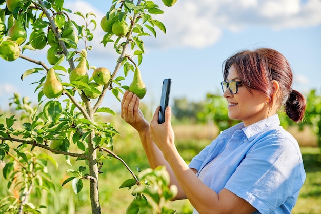 Mujer feliz toma una foto de la cosecha de peras madurando en un árbol en el jardín
