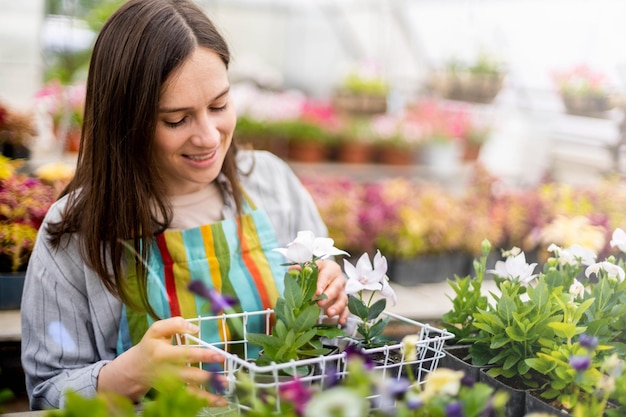 Mujer florista en delantal trabajando con plantas florales en invernadero recogiendo macizo de flores con cajas