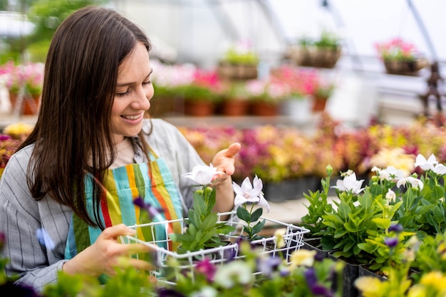 Mujer floristería en delantal trabajando con plantas florales en invernadero recogiendo huerto con cajas