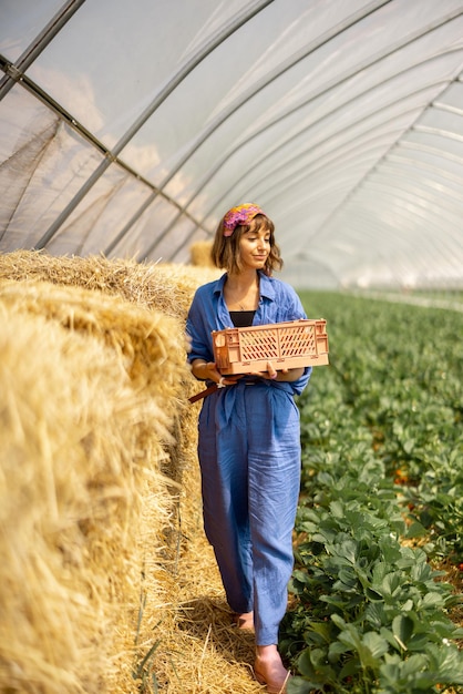 Mujer con fresas recién recogidas en la granja
