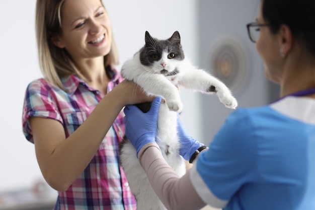 Mujer y gato doméstico en clínica veterinaria