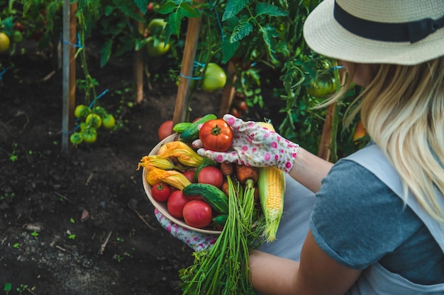 Mujer granjera cosecha verduras en el jardín Enfoque selectivo