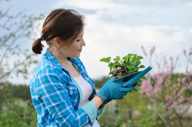 Mujer en guantes con herramientas de jardín con arbusto de fresa