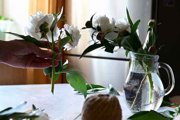 Una mujer hace un ramo de peonías un ramo de flores de poda de papel kraft stylite hace un ramo