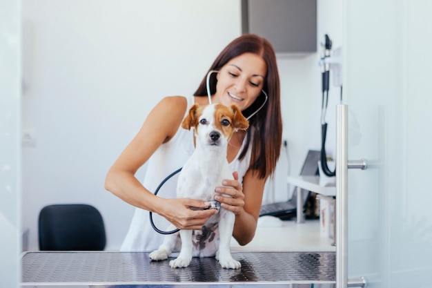 Mujer haciendo un examen con un estetoscopio en un perro sano