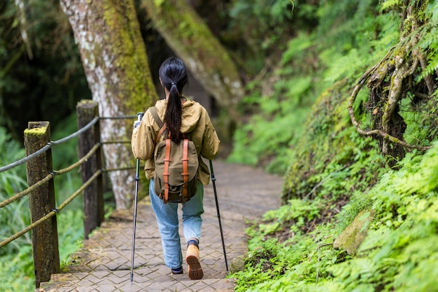 Mujer haciendo senderismo en el bosque de montaña