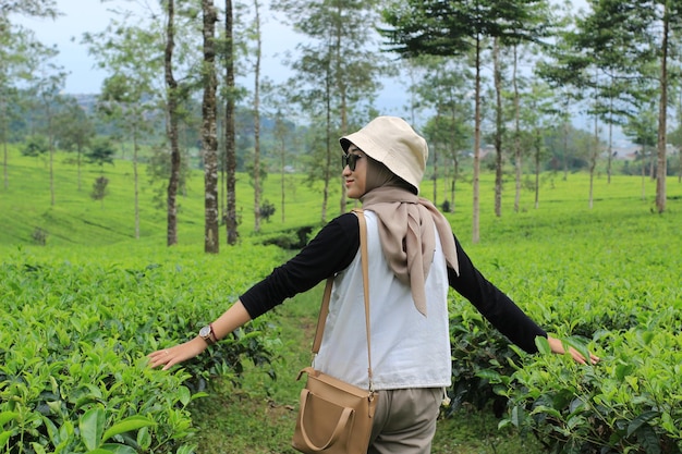 Una mujer hermosa en un jardín de té disfruta de la belleza de la naturaleza Fotografía de viajes