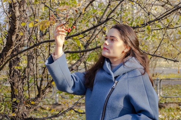 Mujer hermosa joven sostiene mira una rama con una baya. Paisaje de otoño en un día soleado. Chica pensativa con el pelo largo en un abrigo en un cálido día de otoño con el telón de fondo de los árboles en el parque