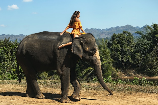 Mujer con hermoso vestido naranja está montando el poderoso elefante