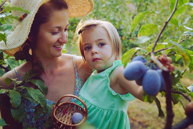 Foto mujer con hija recogiendo uvas en el viñedo