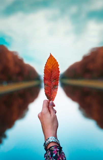 Foto mujer con una hoja de otoño junto al lago