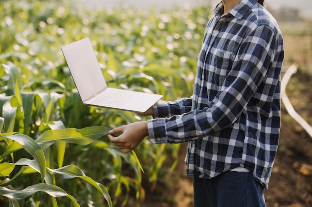 Mujer y hombre agricultor asiático trabajando juntos en una granja de verduras de ensalada hidropónica orgánica usando una tableta para inspeccionar la calidad de la lechuga en un jardín de invernadero Agricultura inteligente