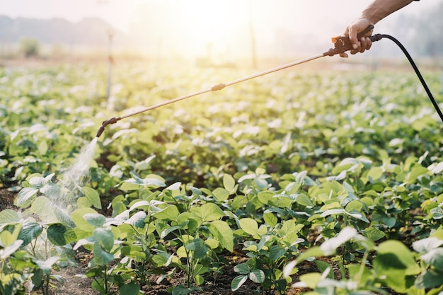 Mujer y hombre agricultor asiático trabajando juntos en una granja de verduras de ensalada hidropónica orgánica usando una tableta para inspeccionar la calidad de la lechuga en un jardín de invernadero Agricultura inteligente