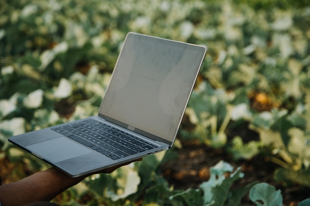 Mujer y hombre agricultor asiático trabajando juntos en una granja de verduras de ensalada hidropónica orgánica usando una tableta para inspeccionar la calidad de la lechuga en un jardín de invernadero Agricultura inteligente