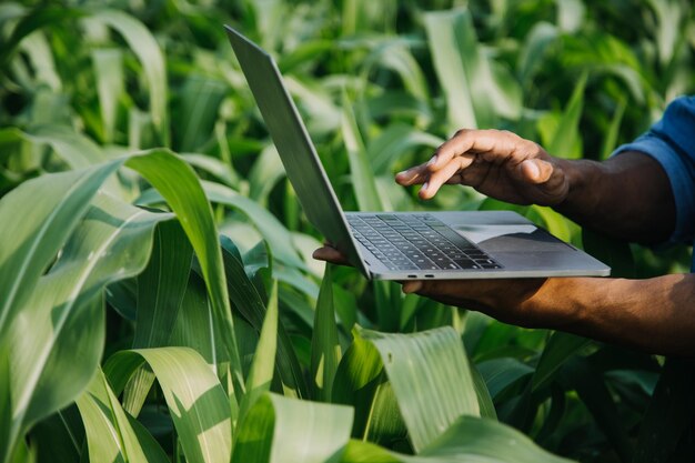 Mujer y hombre agricultor asiático trabajando juntos en una granja de verduras de ensalada hidropónica orgánica usando una tableta para inspeccionar la calidad de la lechuga en un jardín de invernadero Agricultura inteligente