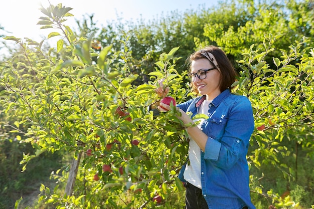 Mujer en un huerto de manzanos tiene manzana roja madura en su mano, copie el espacio. Cosecha, otoño, comida sana natural orgánica, jardinería, frutas, concepto de personas