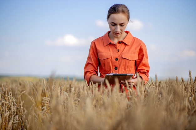 Mujer ingeniero agrónomo con tableta en el campo de trigo, control de calidad