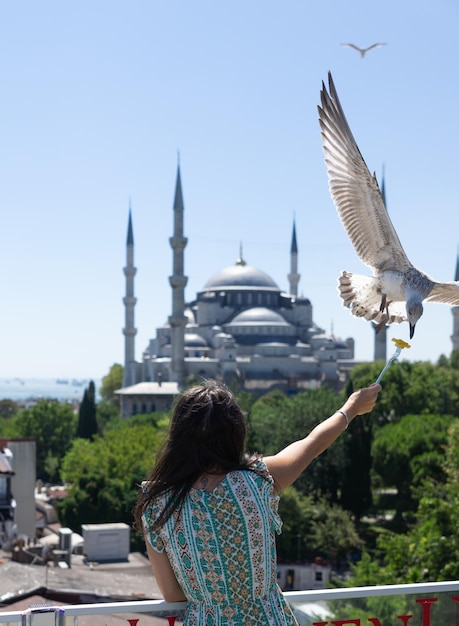 Mujer irreconocible alimentando gaviotas con la Mezquita Azul de Estambul al fondo